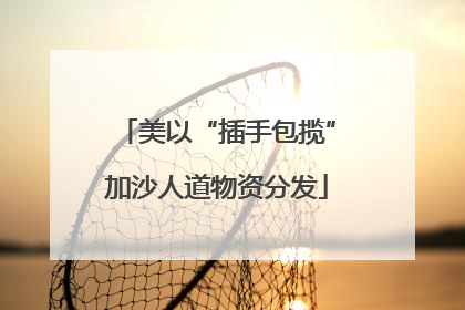 美以“插手包揽”加沙人道物资分发