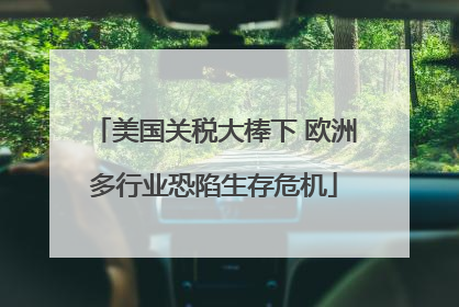 美国关税大棒下 欧洲多行业恐陷生存危机
