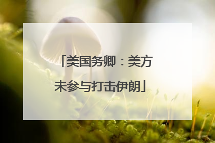 美国务卿：美方未参与打击伊朗