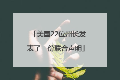 美国22位州长发表了一份联合声明