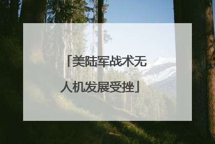 美陆军战术无人机发展受挫