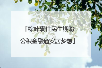粽叶裹住民生期盼 公积金融通安居梦想