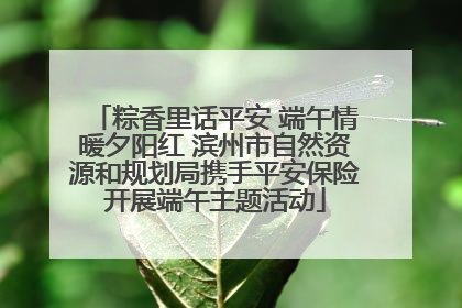 粽香里话平安 端午情暖夕阳红 滨州市自然资源和规划局携手平安保险开展端午主题活动