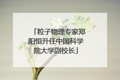 粒子物理专家郑阳恒升任中国科学院大学副校长