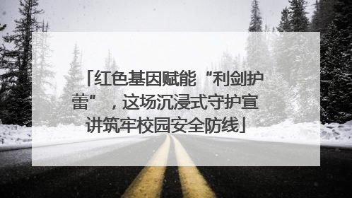 红色基因赋能“利剑护蕾”，这场沉浸式守护宣讲筑牢校园安全防线