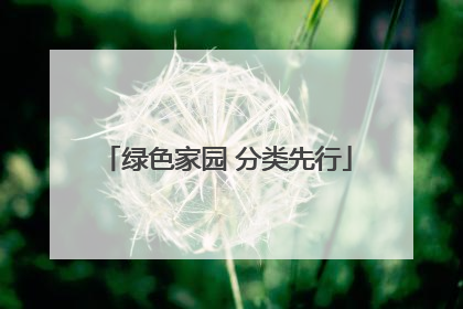 绿色家园 分类先行