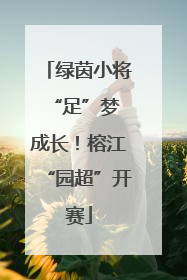 绿茵小将 “足”梦成长！榕江“园超”开赛