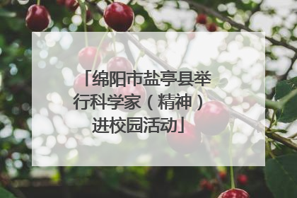 绵阳市盐亭县举行科学家（精神）进校园活动