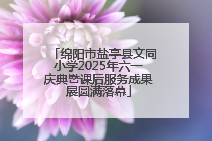 绵阳市盐亭县文同小学2025年六一庆典暨课后服务成果展圆满落幕