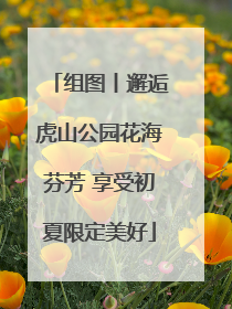 组图丨邂逅虎山公园花海芬芳 享受初夏限定美好