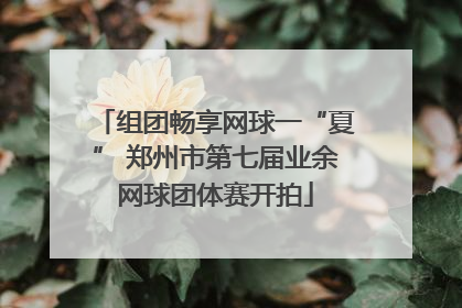 组团畅享网球一“夏” 郑州市第七届业余网球团体赛开拍