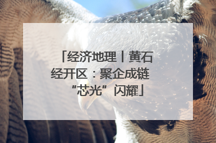 经济地理丨黄石经开区：聚企成链“芯光”闪耀