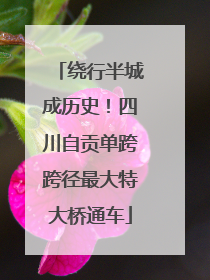 绕行半城成历史！四川自贡单跨跨径最大特大桥通车
