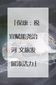 保康：税宣赋能尧治河 文旅发展添活力