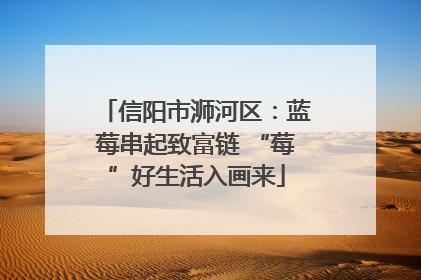 信阳市浉河区：蓝莓串起致富链 “莓”好生活入画来