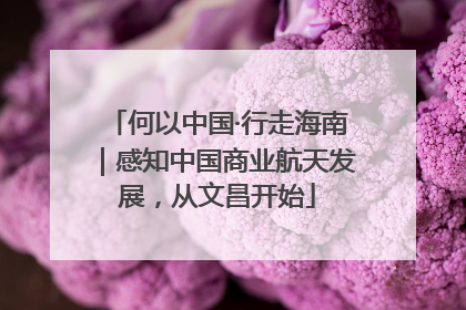 何以中国·行走海南｜感知中国商业航天发展，从文昌开始