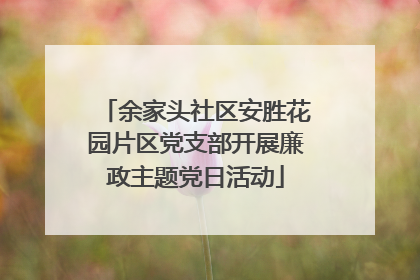 余家头社区安胜花园片区党支部开展廉政主题党日活动