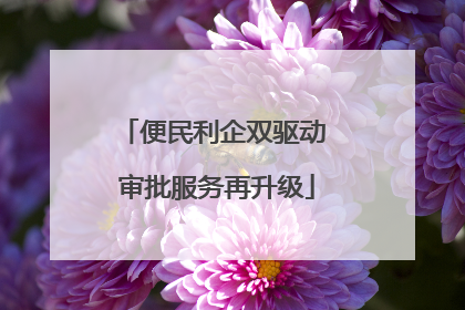 便民利企双驱动 审批服务再升级