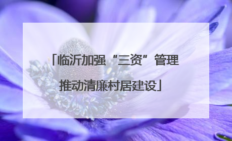 临沂加强“三资”管理 推动清廉村居建设