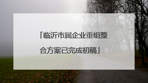 临沂市属企业重组整合方案已完成初稿