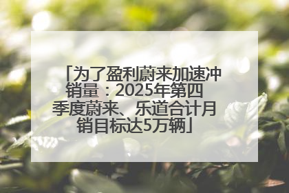 为了盈利蔚来加速冲销量：2025年第四季度蔚来、乐道合计月销目标达5万辆
