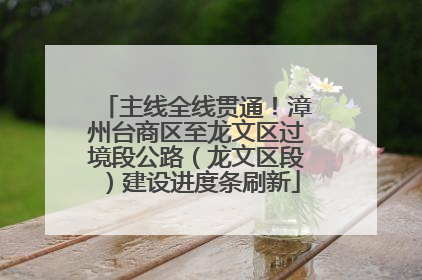 主线全线贯通！漳州台商区至龙文区过境段公路（龙文区段）建设进度条刷新