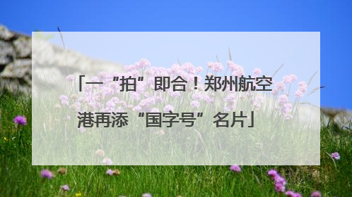 一“拍”即合！郑州航空港再添“国字号”名片