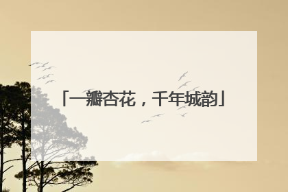 一瓣杏花，千年城韵