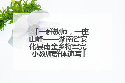 一群教师，一座山峰——湖南省安化县南金乡将军完小教师群体速写