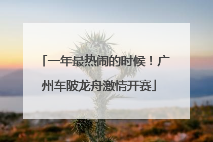 一年最热闹的时候！广州车陂龙舟激情开赛