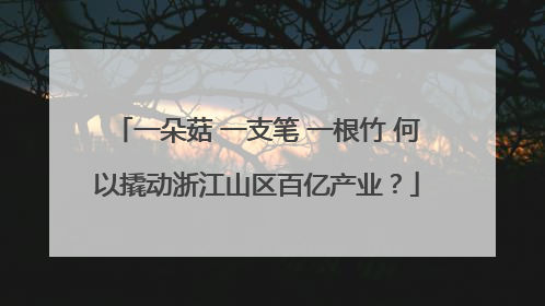 一朵菇 一支笔 一根竹 何以撬动浙江山区百亿产业？