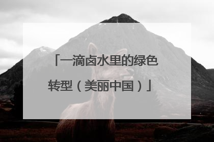 一滴卤水里的绿色转型（美丽中国）