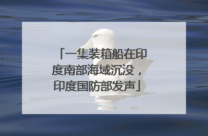 一集装箱船在印度南部海域沉没，印度国防部发声