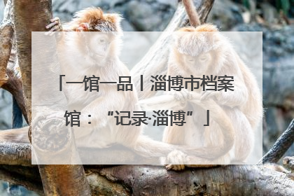 一馆一品丨淄博市档案馆：“记录·淄博”
