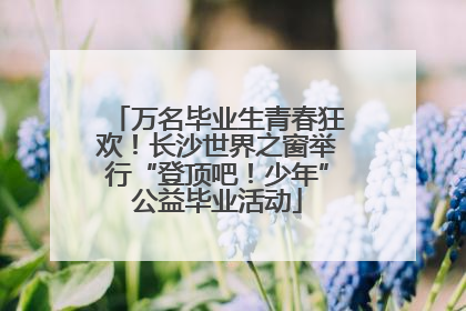 万名毕业生青春狂欢！长沙世界之窗举行“登顶吧！少年”公益毕业活动