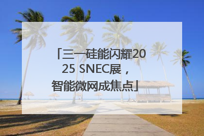 三一硅能闪耀2025 SNEC展，智能微网成焦点