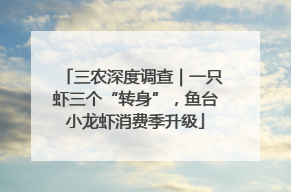 三农深度调查｜一只虾三个“转身”，鱼台小龙虾消费季升级