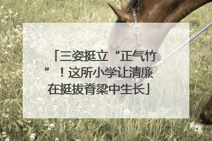 三姿挺立“正气竹”！这所小学让清廉在挺拔脊梁中生长