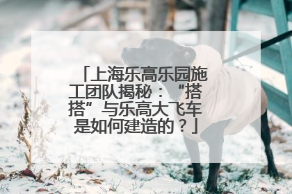上海乐高乐园施工团队揭秘：“搭搭”与乐高大飞车是如何建造的？