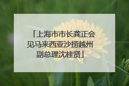 上海市市长龚正会见马来西亚沙捞越州副总理沈桂贤
