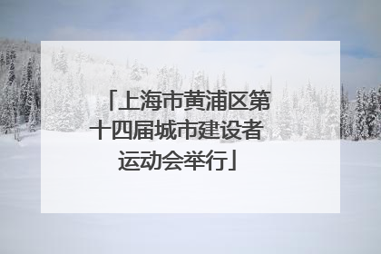 上海市黄浦区第十四届城市建设者运动会举行