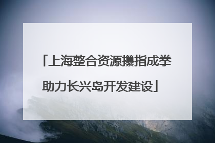 上海整合资源攥指成拳助力长兴岛开发建设