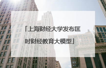 上海财经大学发布匡时财经教育大模型