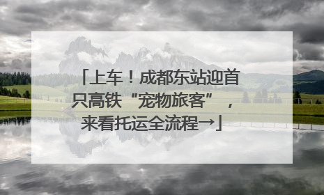 上车！成都东站迎首只高铁“宠物旅客”，来看托运全流程→