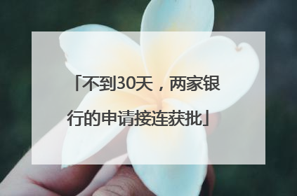 不到30天，两家银行的申请接连获批