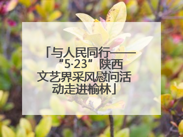 与人民同行——“5·23”陕西文艺界采风慰问活动走进榆林