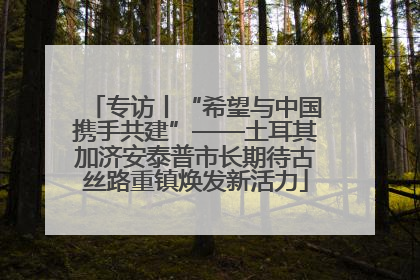 专访丨“希望与中国携手共建”——土耳其加济安泰普市长期待古丝路重镇焕发新活力