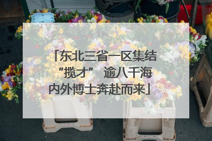 东北三省一区集结“揽才” 逾八千海内外博士奔赴而来