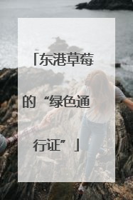东港草莓的“绿色通行证”