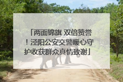 两面锦旗 双倍赞誉！泾阳公安交警暖心守护收获群众真情致谢